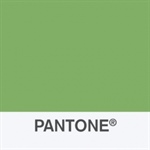 Pantone Color Institute Unveils Color Report for New York Fashion Week