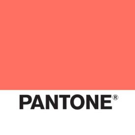 Pantone Names 2019 Color of the Year
